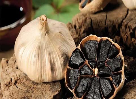قیمت خرید سیر سیاه درشت خارجی + به صرفه و ارزان