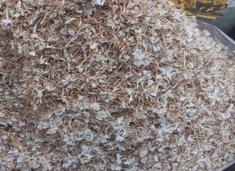 قیمت خرید گل گون مرغوب