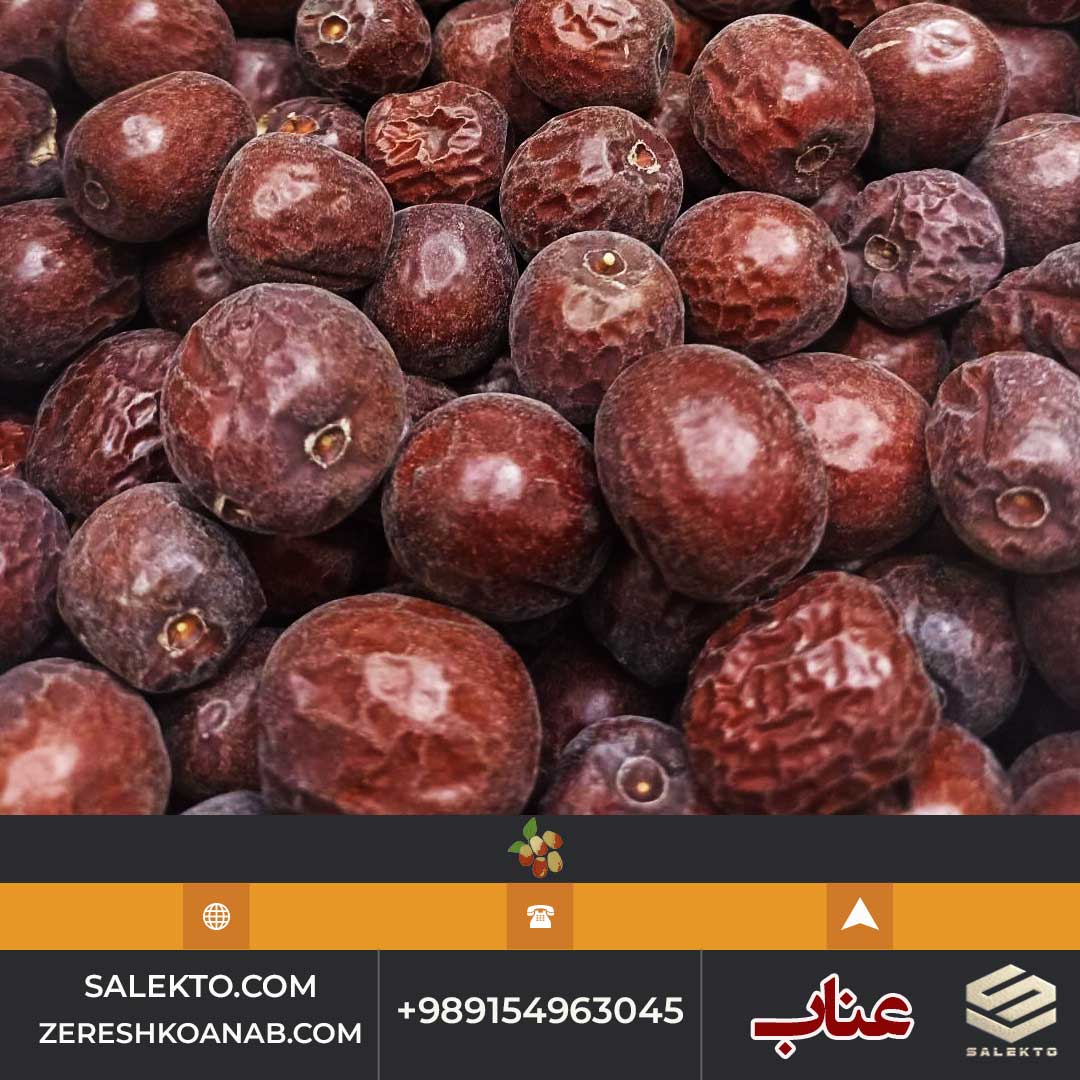 قیمت عناب تازه خراسان جنوبی با خواص دارویی + خرید عمده و صادرات به اروپا