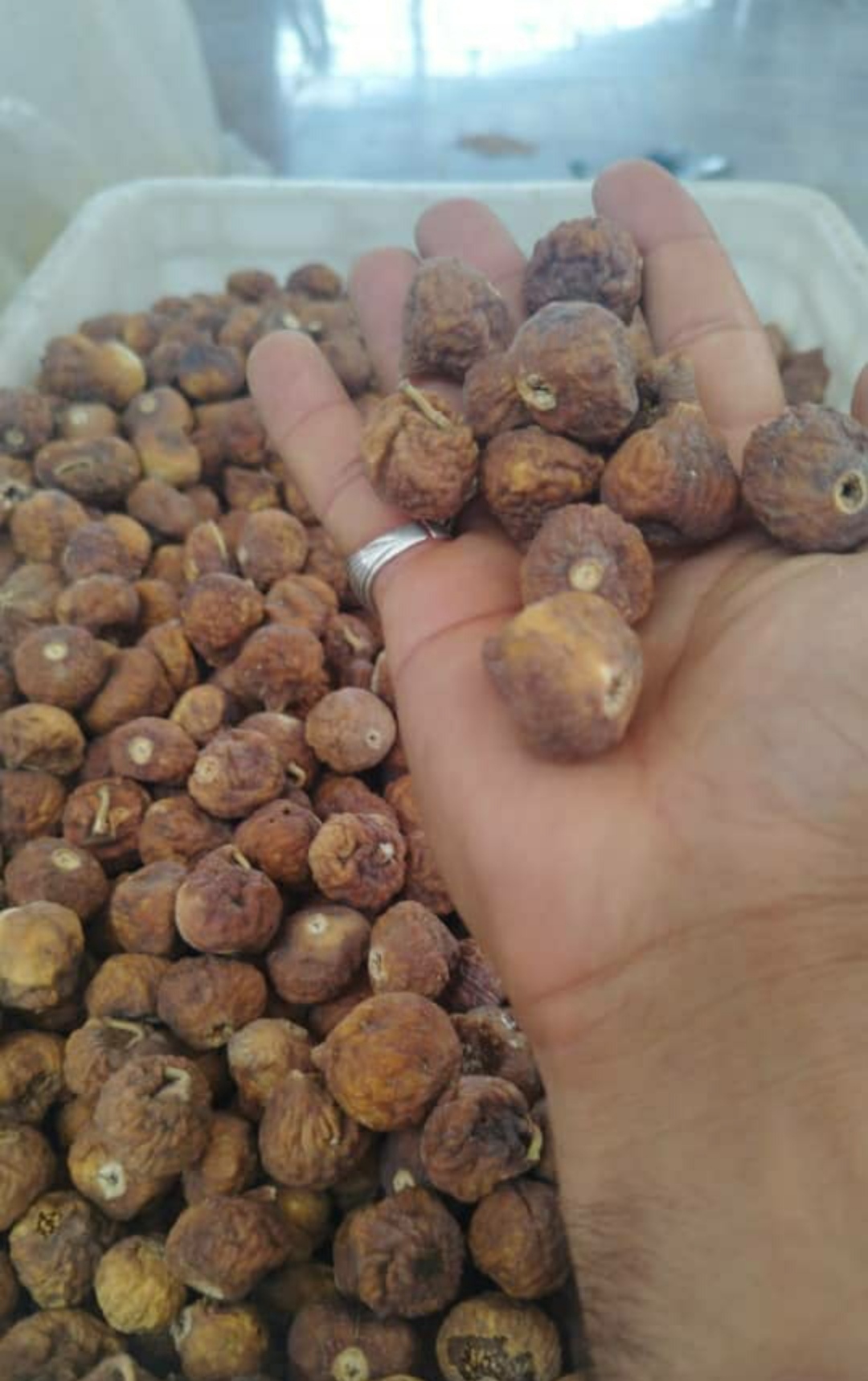 فروش انجیر صنعتی + ارزان و مناسب