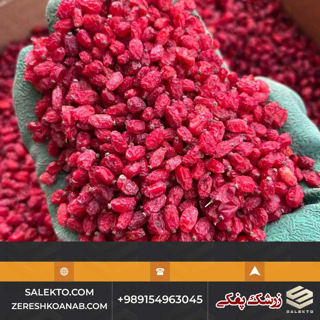 خرید زرشک پفکی بیرجند با رنگ طبیعی + قیمت ارزان و فروش عمده