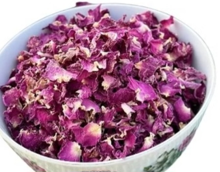 خرید بهترین نوع گل محمدی دارابی