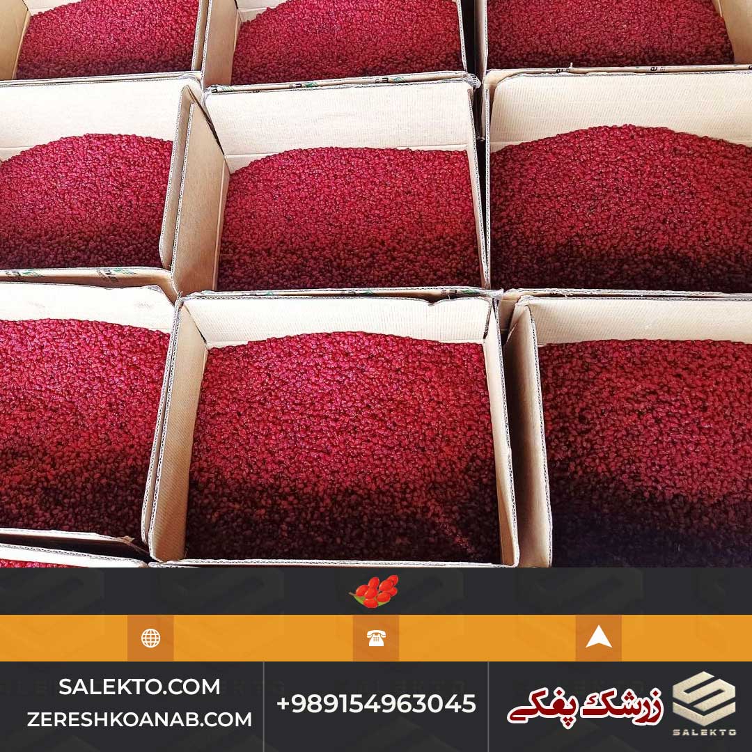 قیمت زرشک پفکی خراسان جنوبی با رنگ روشن + فروش عمده و خرید مستقیم