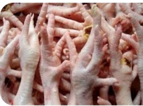 پای مرغ نسیبا یک انتخاب  عالی