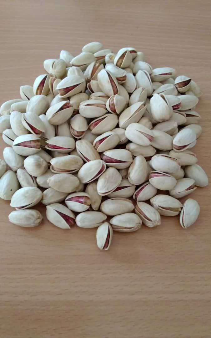 فروش عمده پسته اکبری + خرید به صرفه با هدف رضایت مشتری