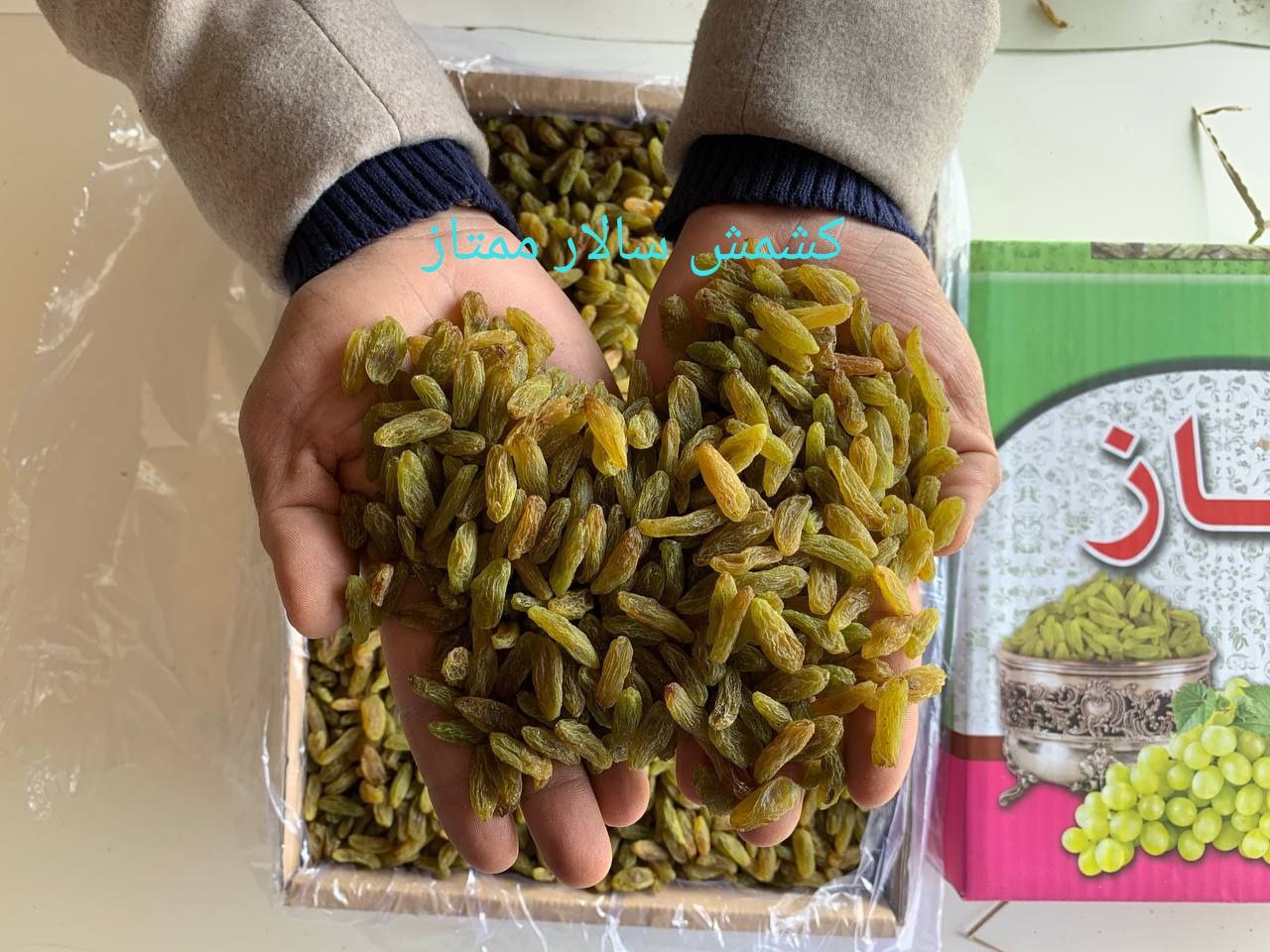 فروش کشمش سبز قلمی