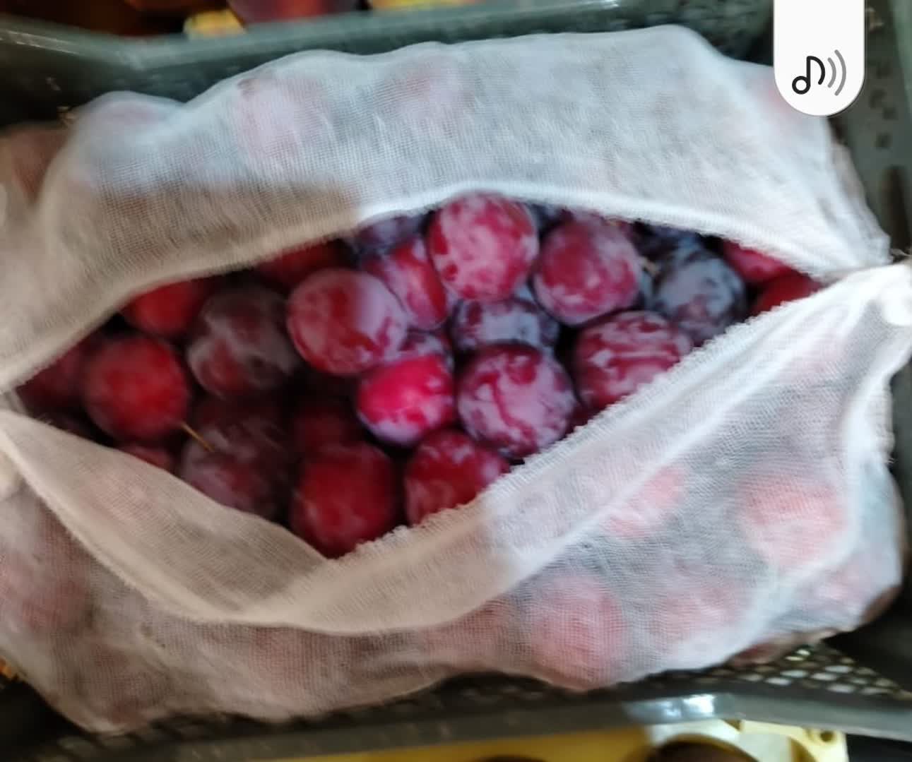 آلوخشک شابلون مرغوب + فروش ویژه