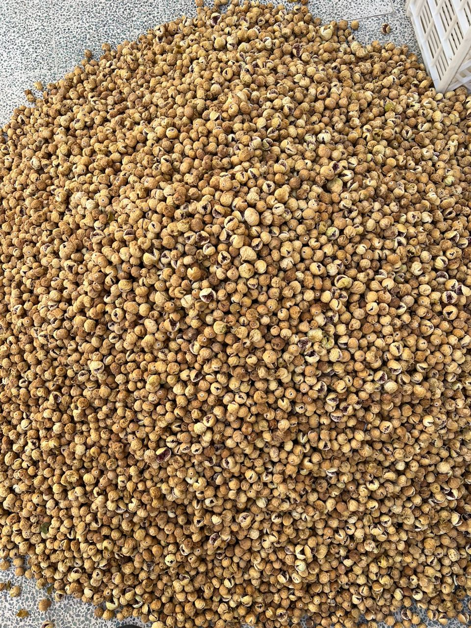مرکز خرید و فروش انجیر خشک اعلا + قیمت مطمئن