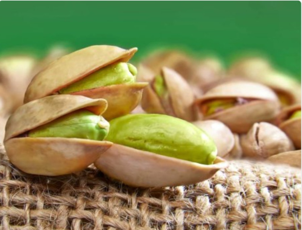 فروش پسته اکبری شور رفسنجان + شرایط فوق