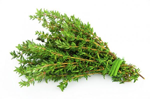 خرید و فروش عمده آویشن سرشاخه تازه با قیمت ویژه