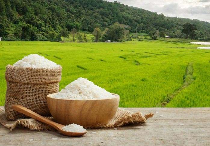 برنج فجر درجه یک شمال با ارزش غذایی بالا