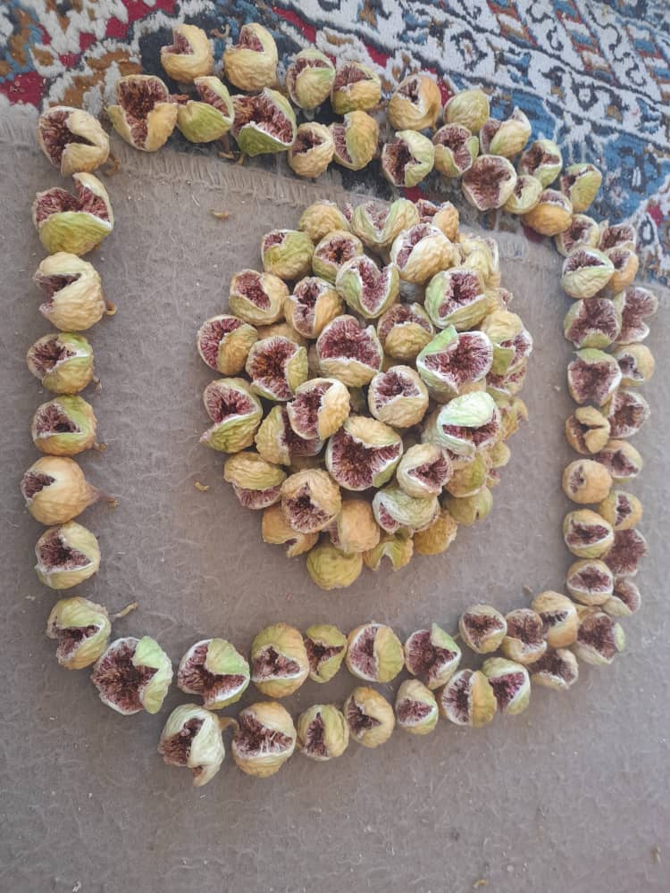 انجیر۱۰۱ مرغوب استهبان+ باقیمتی منصفانہ