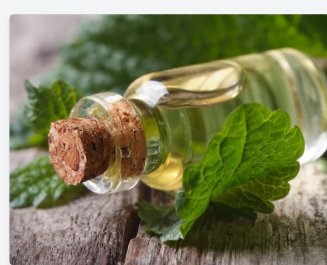 فروش عرق نعنای مرغوب و ارگانیک