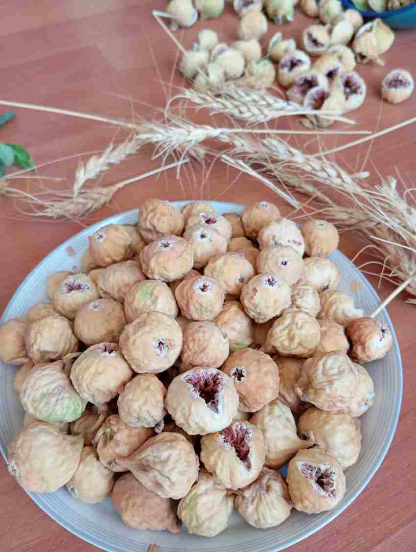 فروش و خرید عمده انجیر خشک استهبان صادراتی