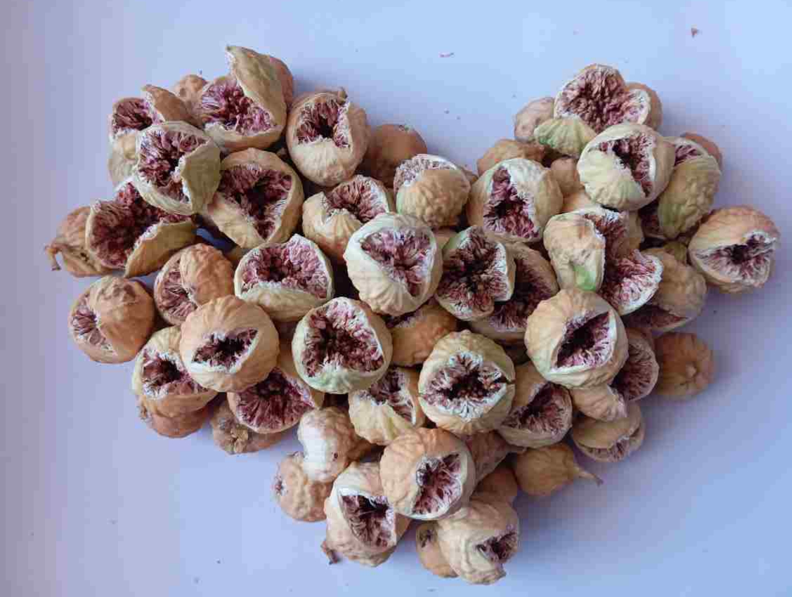 فروش عمده انجیر خشک استهبان با شرایط ویژه