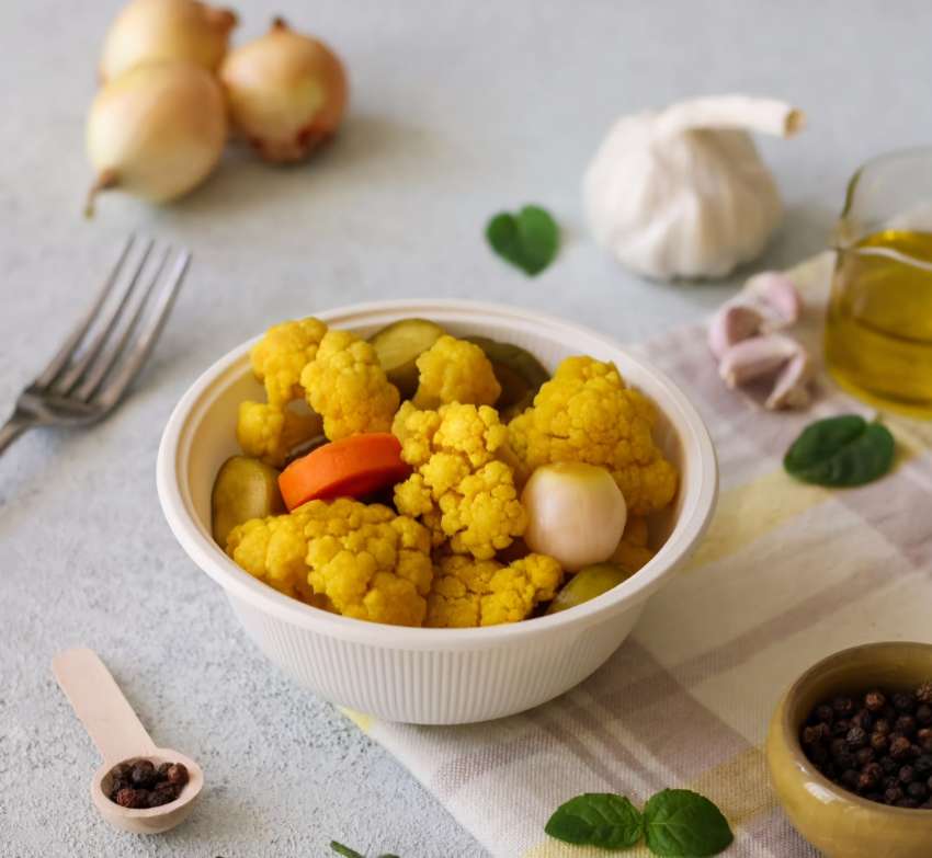 خرید عمده انواع ظروف یکبار مصرف گیاهی با قیمت ویژه