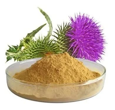 فروش ویژه عصاره گیاه خار مریم خشک (پودری) گرید A