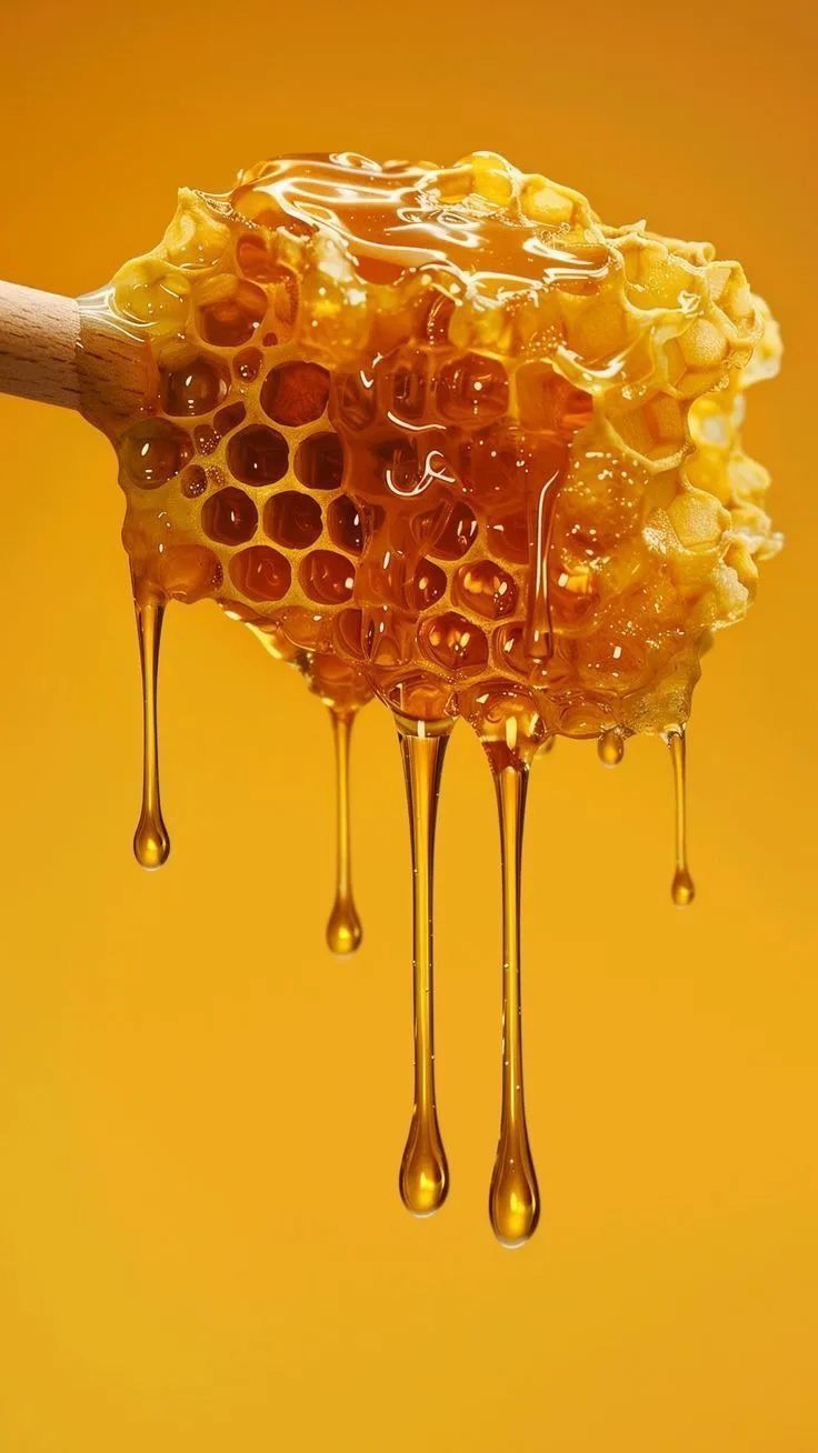 عسل گون ارگانیک + صادراتی