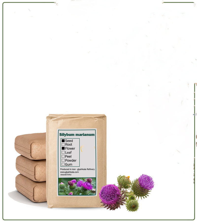 فروش ویژه عصاره گیاه خار مریم خشک (پودری) گرید +A