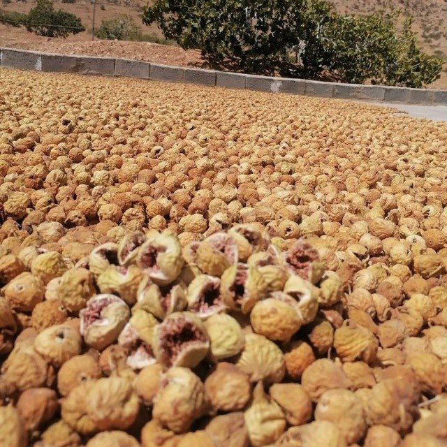 خریدانجیرخشک ۱۰۱ استهبان+ قیمتی باور نکردنی