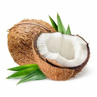 نارگیل خشک ارگانیک + خوراکی سالم و ۱۰۰٪ طبیعی