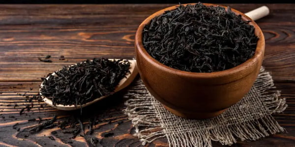 قیمت خرید چای ممتاز عمده به صرفه و ارزان
