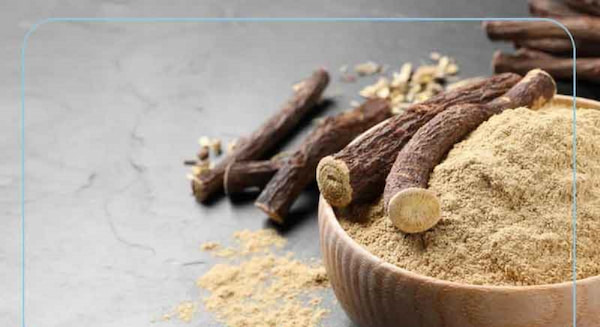 راهنمای خرید چای شیرین بیان + قیمت عالی