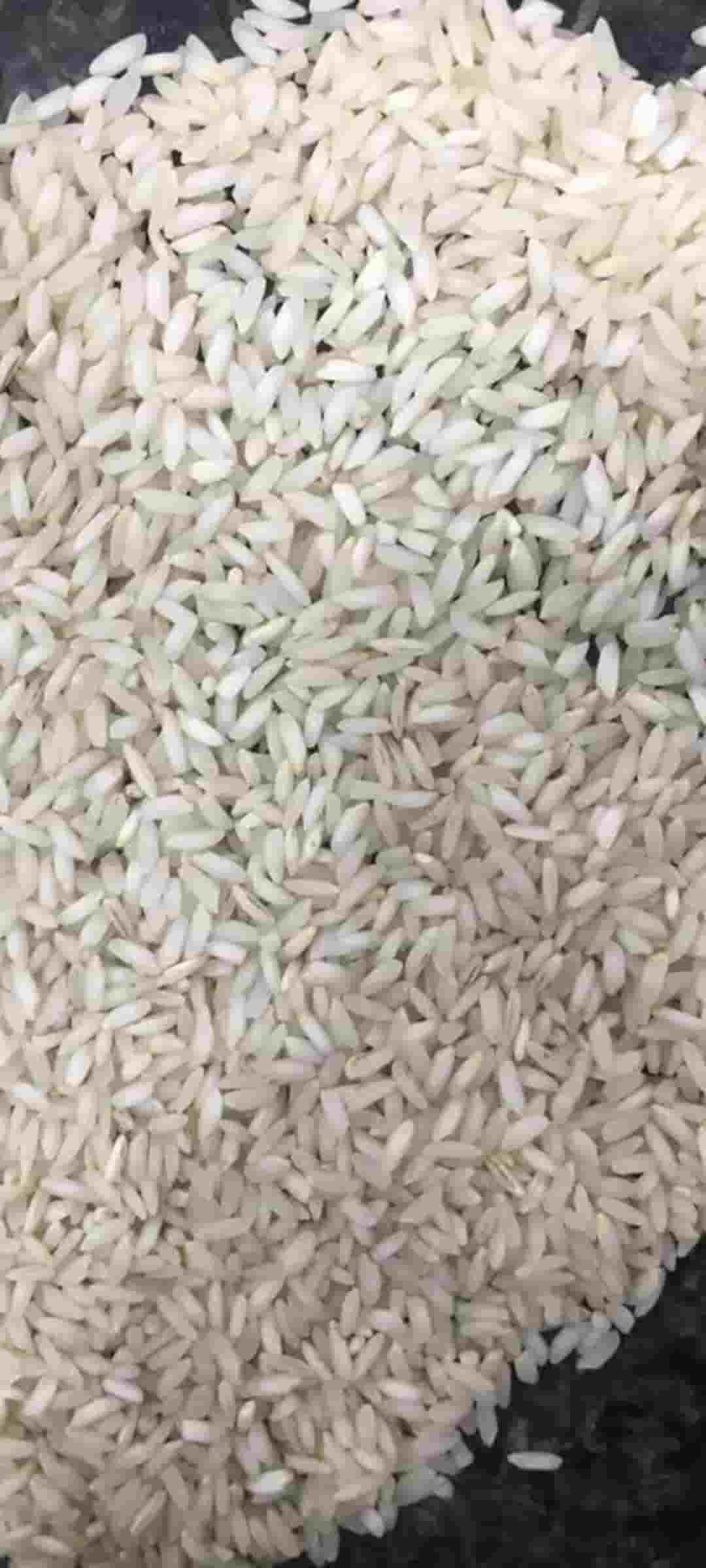 قیمت خرید برنج چمپای میداوود