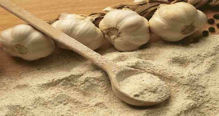 فروش عمده پودر سیر سولان