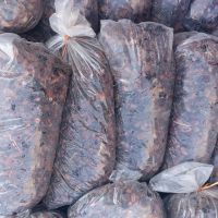 خرید خرما ضایعات بم