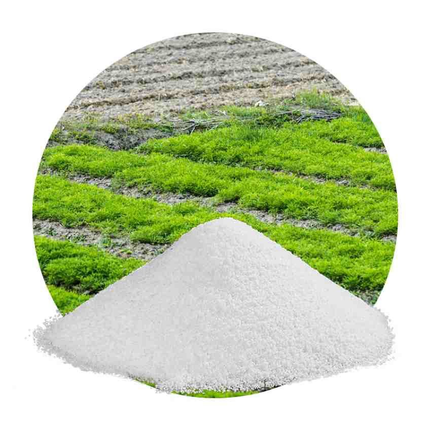 فروش سوپر جاذب کشاورزی؛ محصول بیشتر، آب کمتر