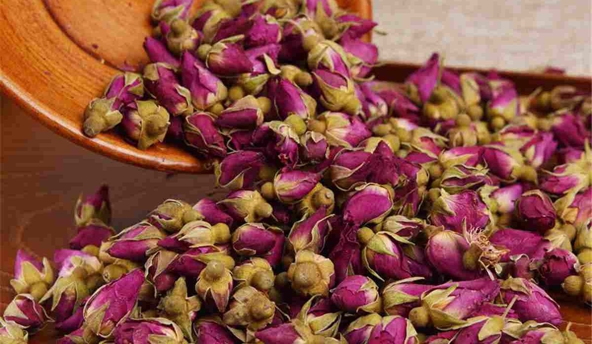 فروش عمده غنچه کرمان به صورت عمده با شرکت فولاد گل