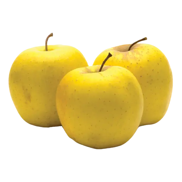 سفارش سیب زرد اشنویه + قیمت خرید