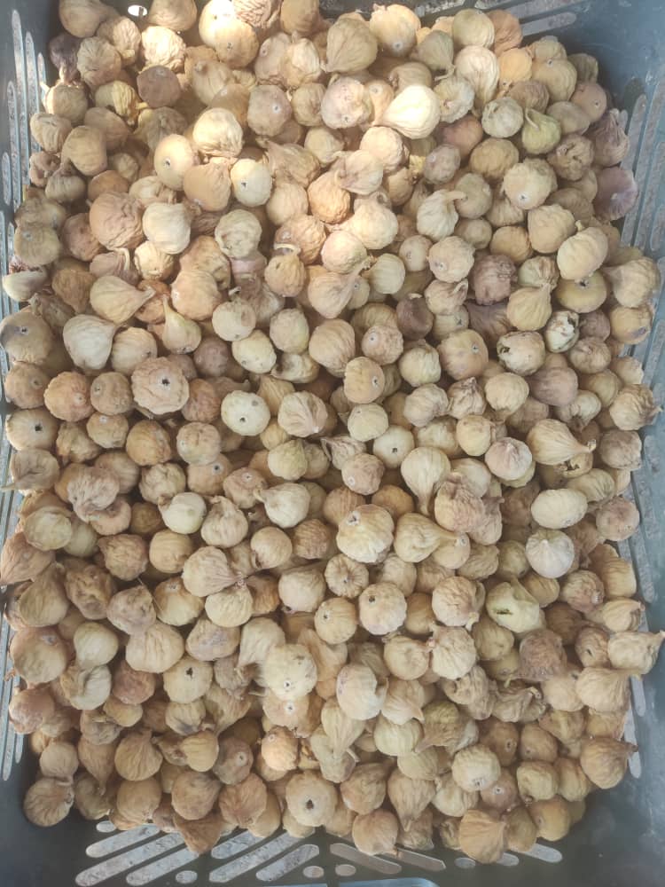 فروش انجیر خشک A سوپر + خرید