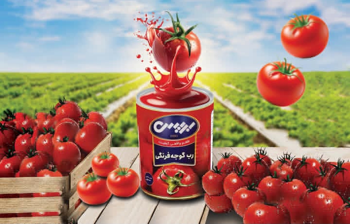 رب گوجهفرنگی بریس + خرید