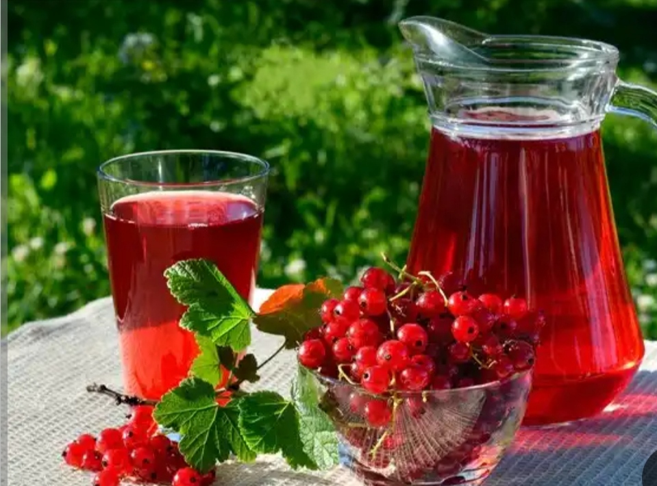 آب زرشک ارگانیک بیرجند