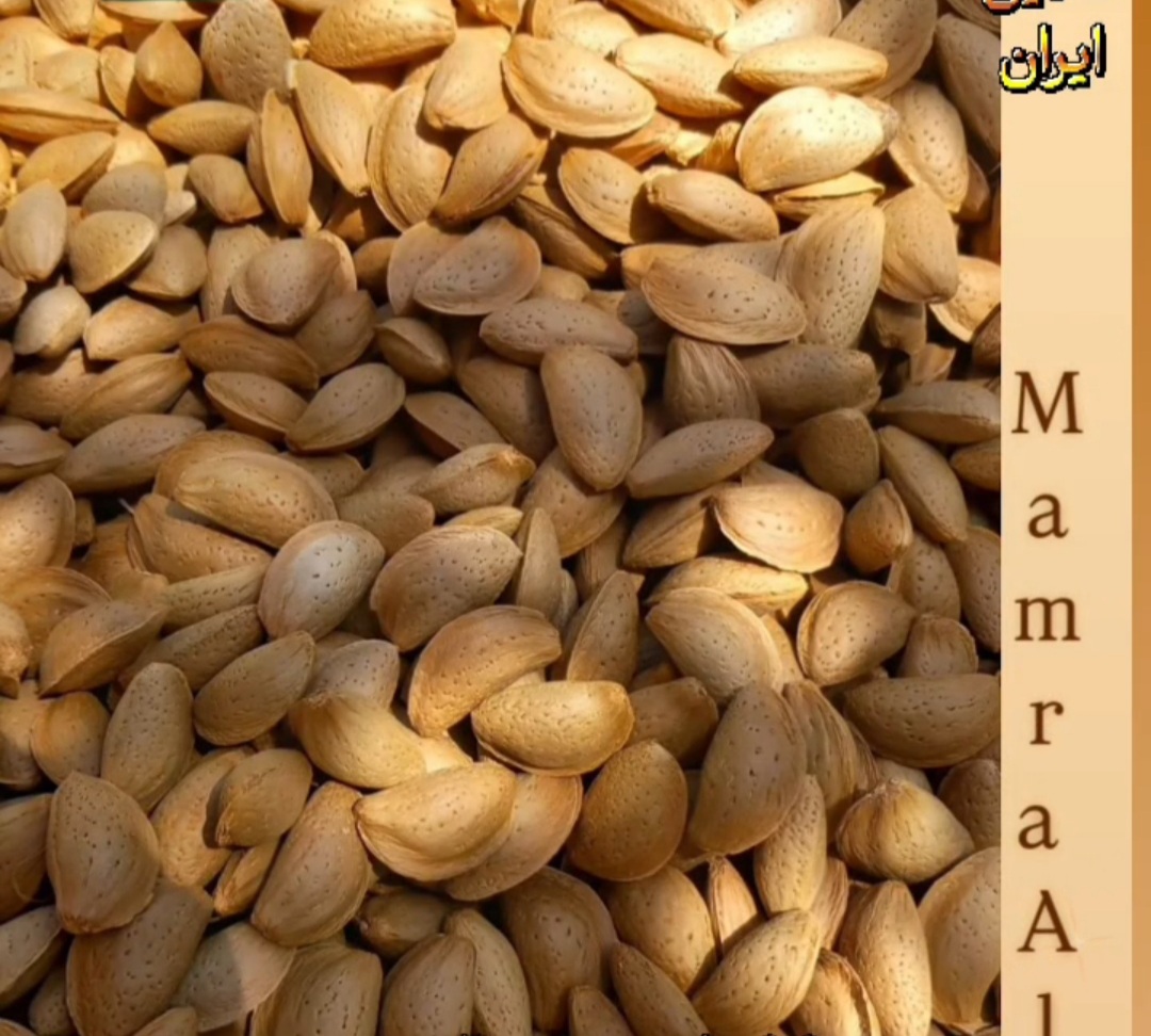 قیمت خرید بادام سنگی کوثر
