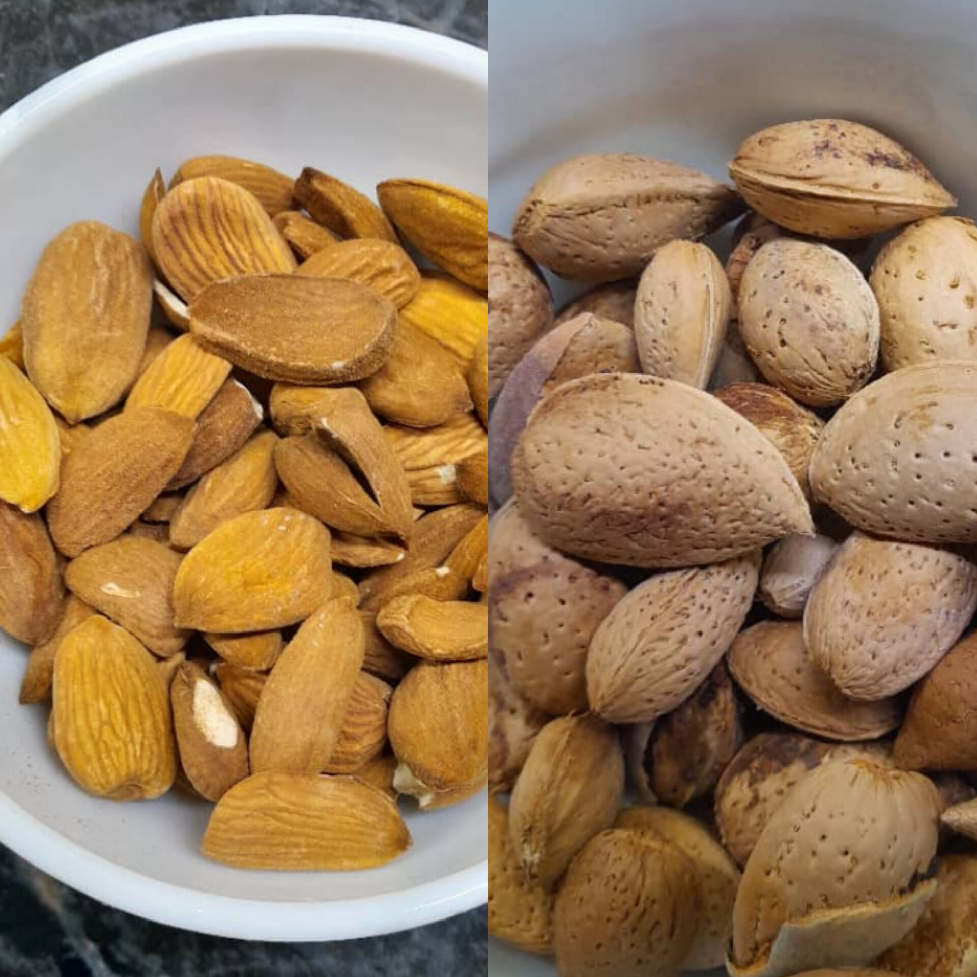 قیمت خرید بادام درختی پرمغز