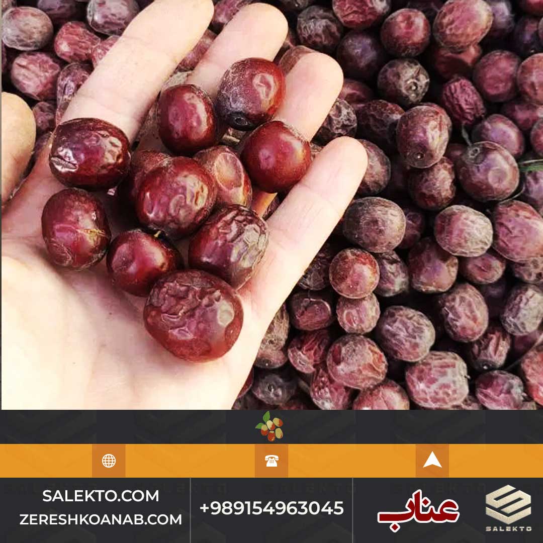 عناب خشک صادراتی بیرجند با بسته‌بندی بهداشتی و کیفیت عالی + فروش ویژه و قیمت مقرون‌ به‌ صرفه