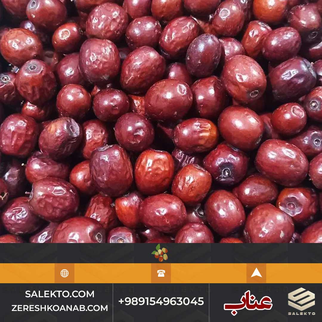 عناب خشک مرغوب قائنات با طعم طبیعی و هسته کم + خرید مستقیم و شرایط استثنایی