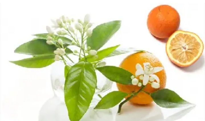 عرق بهارنارنج معطر + خرید