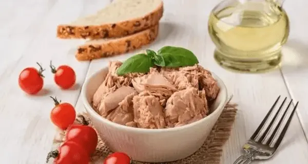 تن ماهی شوریده در خوزستان قیمت خرید صادراتی