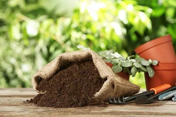 خرید و قیمت کود آهن + فروش عمده