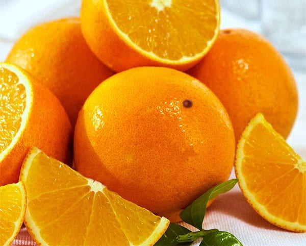 قیمت خرید پرتقال دزفول + فروش ویژه