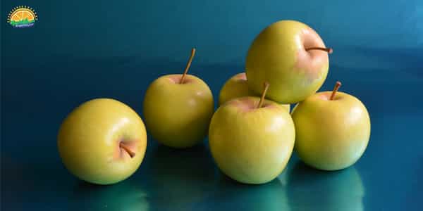 قیمت خرید سیب زرد با فروش عمده