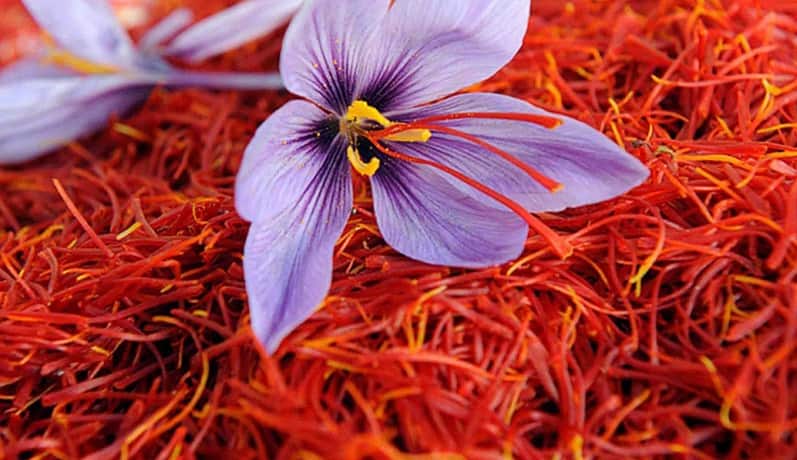 راهنمای خرید زعفران شکسته + قیمت عالی