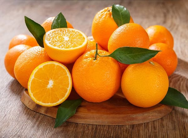 قیمت پرتقال کوهی مازندران + خرید باور نکردنی