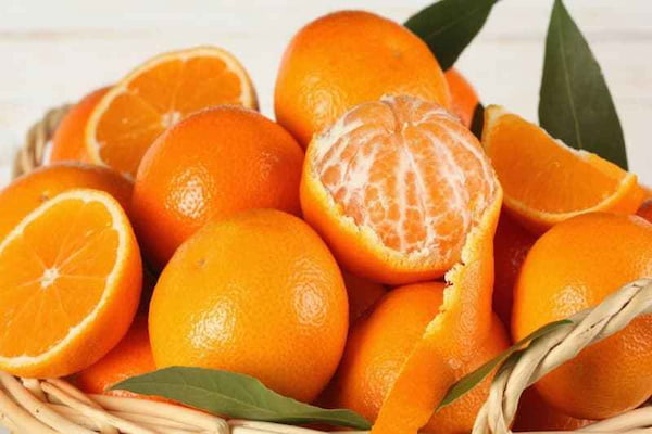 قیمت پرتقال نافی جهرم با کیفیت ارزان + خرید عمده