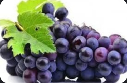 خرید شیره انگور خالص