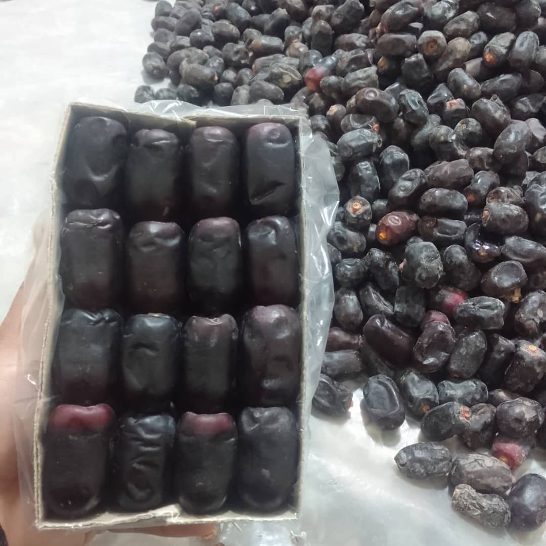 تصویر 4 از خرما مضافتی بم درجه یک ارگانیک و سالم با کیفیت ممتاز